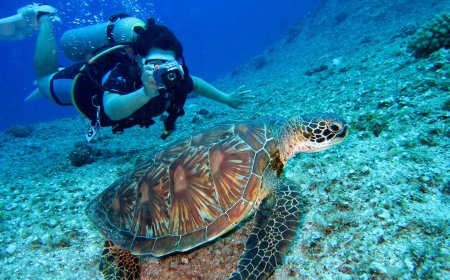 Best Scuba Diving Experiences in Malta and Gozo