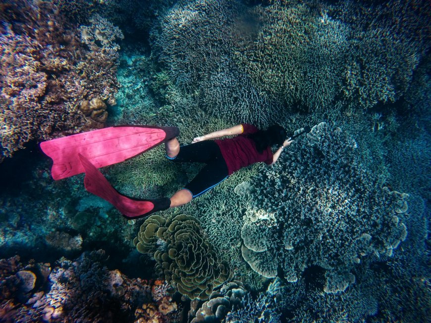 Best Scuba Diving Experiences in Malta and Gozo