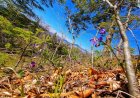 How to Find Balance in Your Busy Life