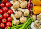 Plant-based nutrition essentials
