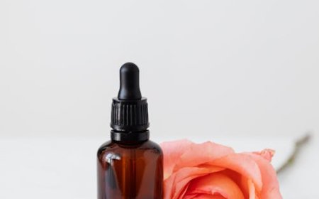 Makeup Essentials: A Beginner's Kit for a Flawless Look