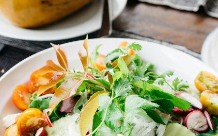 Plant-based protein sources