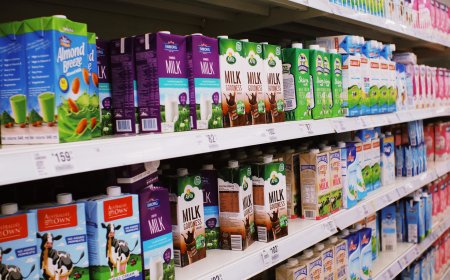 Understanding food labels and nutrition