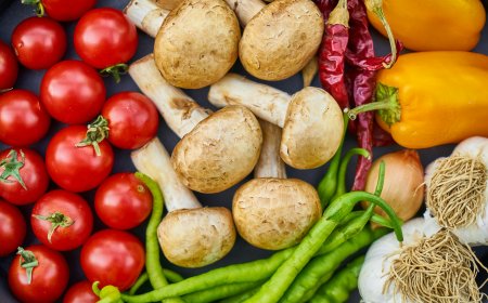 Plant-based nutrition essentials