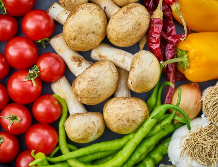 Plant-based nutrition essentials
