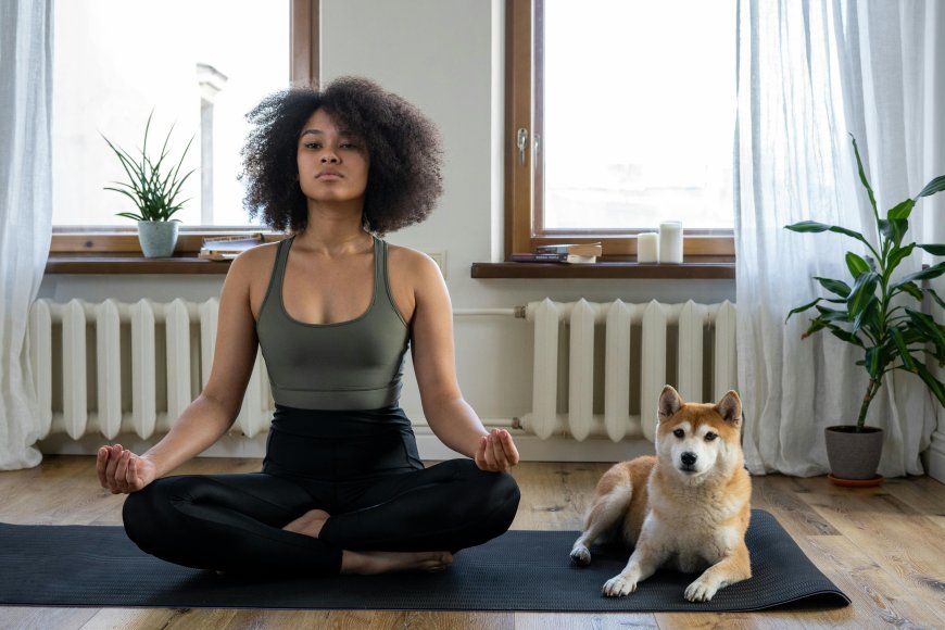 Creating a personal wellness plan