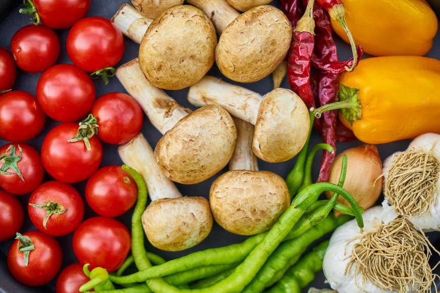 Plant-based nutrition essentials